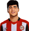 Yunus Emre Konak